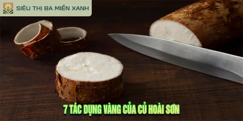 Củ Hoài Sơn Là Gì? 7 Tác Dụng Vàng Bồi Bổ Sức Khỏe 2 7 Tác Dụng Vàng Của Củ Hoài Sơn