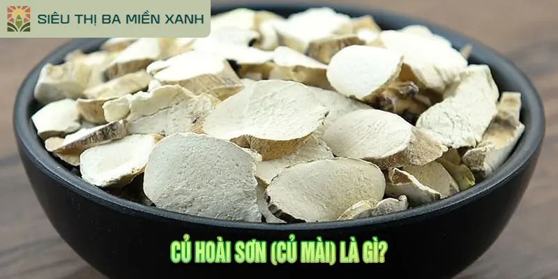 Củ Hoài Sơn Là Gì? 7 Tác Dụng Vàng Bồi Bổ Sức Khỏe 1 Củ Hoài Sơn (Củ Mài) Là Gì?