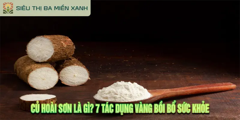 Củ Hoài Sơn Là Gì? 7 Tác Dụng Vàng Bồi Bổ Sức Khỏe