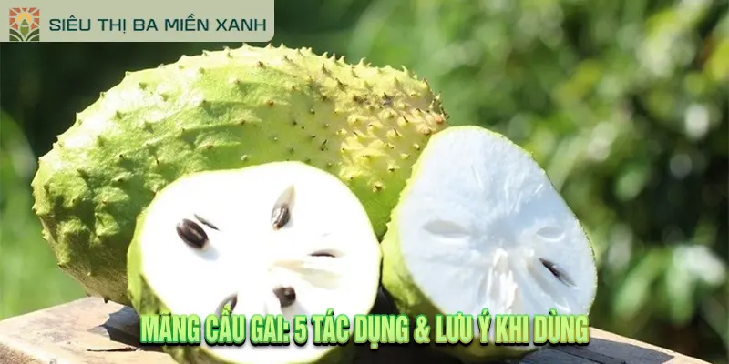 Mãng Cầu Gai: 5 Tác Dụng & Lưu Ý Khi Dùng