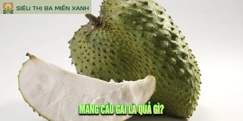 Mãng Cầu Gai: 5 Tác Dụng & Lưu Ý Khi Dùng 1 Mãng Cầu Gai Là Quả Gì?