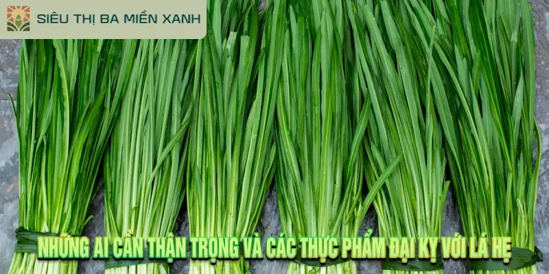 Lá Hẹ Là Gì? 5 Tác Dụng Của Lá Hẹ Đối Với Sức Khỏe 3 Những Ai Cần Thận Trọng Và Các Thực Phẩm Đại Kỵ Với Lá Hẹ