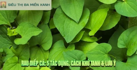 Rau Diếp Cá: 5 Tác Dụng, Cách Khử Tanh & Lưu Ý