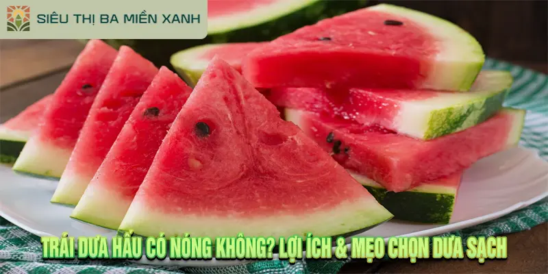 Trái Dưa Hấu Có Nóng Không? Lợi Ích & Mẹo Chọn Dưa Sạch