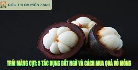 Trái măng cụt: 5 tác dụng bất ngờ và cách mua quả vỏ mỏng